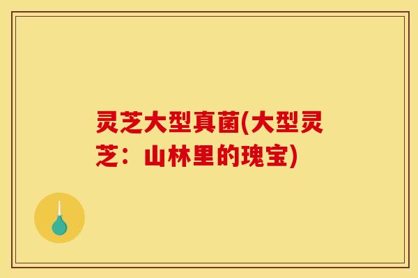 灵芝大型真菌(大型灵芝：山林里的瑰宝)