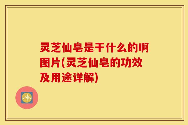 灵芝仙皂是干什么的啊图片(灵芝仙皂的功效及用途详解)