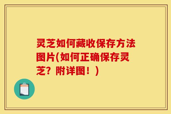 灵芝如何藏收保存方法图片(如何正确保存灵芝？附详图！)