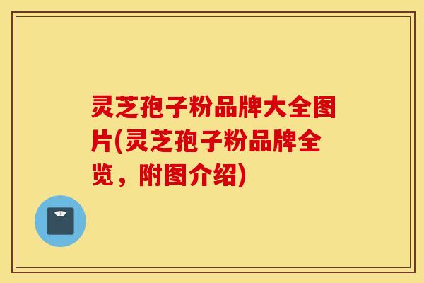 灵芝孢子粉品牌大全图片(灵芝孢子粉品牌全览，附图介绍)