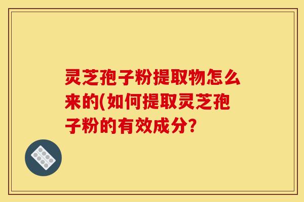 灵芝孢子粉提取物怎么来的(如何提取灵芝孢子粉的有效成分？