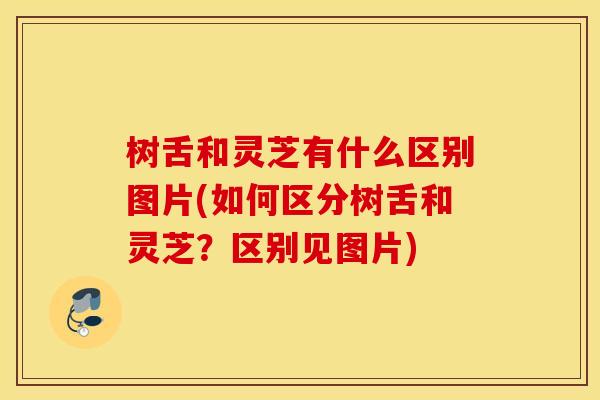 树舌和灵芝有什么区别图片(如何区分树舌和灵芝？区别见图片)