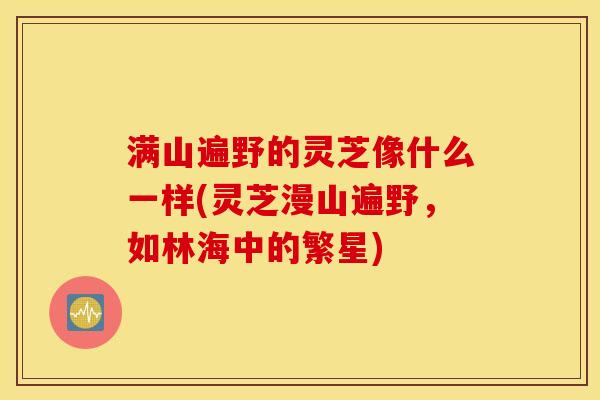 满山遍野的灵芝像什么一样(灵芝漫山遍野，如林海中的繁星)