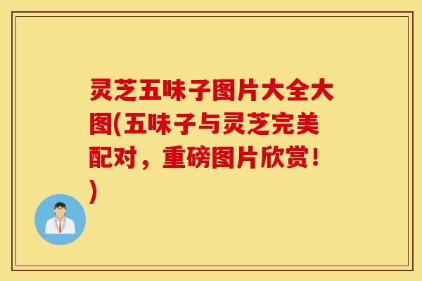 灵芝五味子图片大全大图(五味子与灵芝完美配对，重磅图片欣赏！)