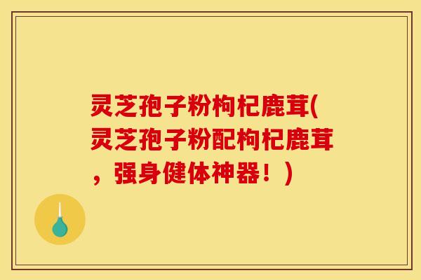 灵芝孢子粉枸杞鹿茸(灵芝孢子粉配枸杞鹿茸，强身健体神器！)