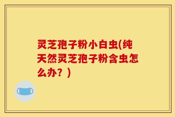 灵芝孢子粉小白虫(纯天然灵芝孢子粉含虫怎么办？)