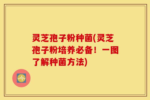 灵芝孢子粉种菌(灵芝孢子粉培养必备！一图了解种菌方法)