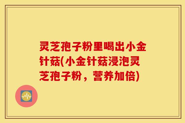 灵芝孢子粉里喝出小金针菇(小金针菇浸泡灵芝孢子粉，营养加倍)