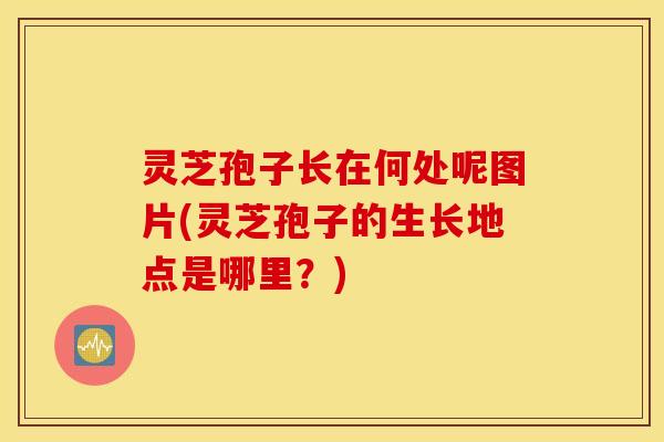 灵芝孢子长在何处呢图片(灵芝孢子的生长地点是哪里？)