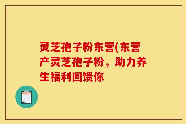 灵芝孢子粉东营(东营产灵芝孢子粉，助力养生福利回馈你
