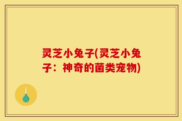 灵芝小兔子(灵芝小兔子：神奇的菌类宠物)
