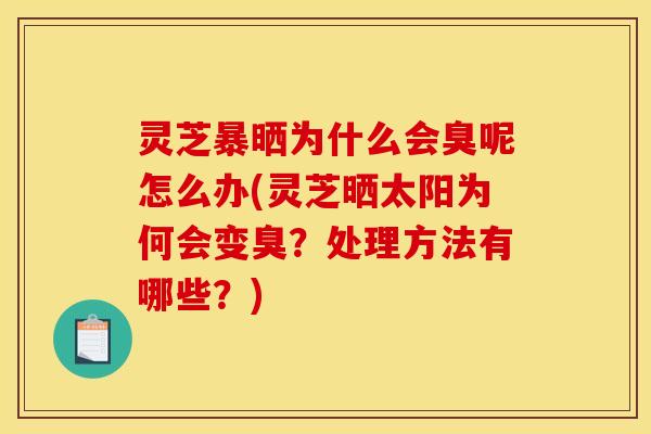 灵芝暴晒为什么会臭呢怎么办(灵芝晒太阳为何会变臭？处理方法有哪些？)