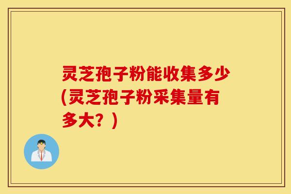 灵芝孢子粉能收集多少(灵芝孢子粉采集量有多大？)