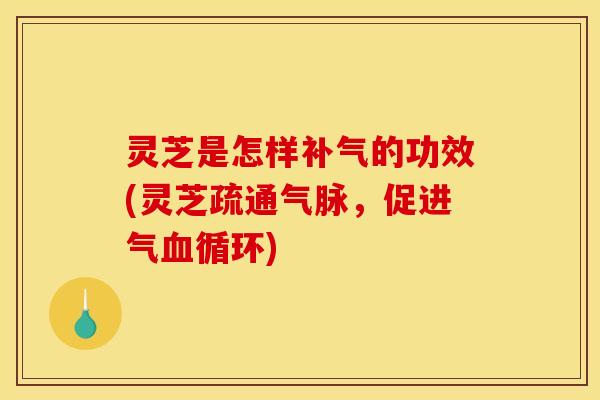 灵芝是怎样补气的功效(灵芝疏通气脉，促进气血循环)