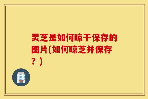 灵芝是如何晾干保存的图片(如何晾芝并保存？)