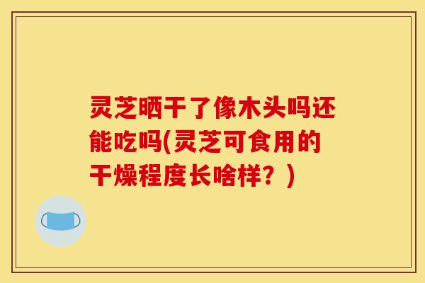 灵芝晒干了像木头吗还能吃吗(灵芝可食用的干燥程度长啥样？)