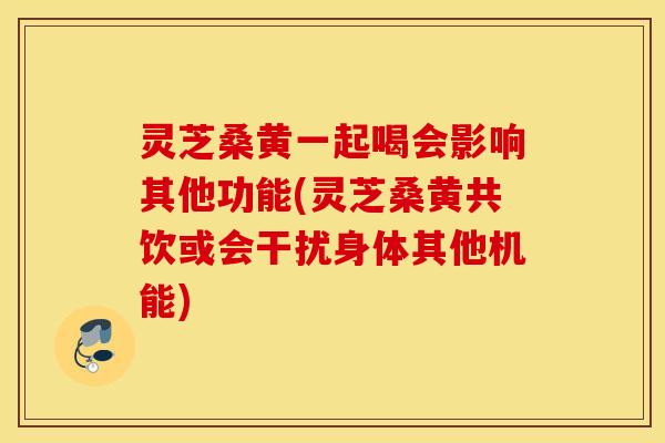 灵芝桑黄一起喝会影响其他功能(灵芝桑黄共饮或会干扰身体其他机能)