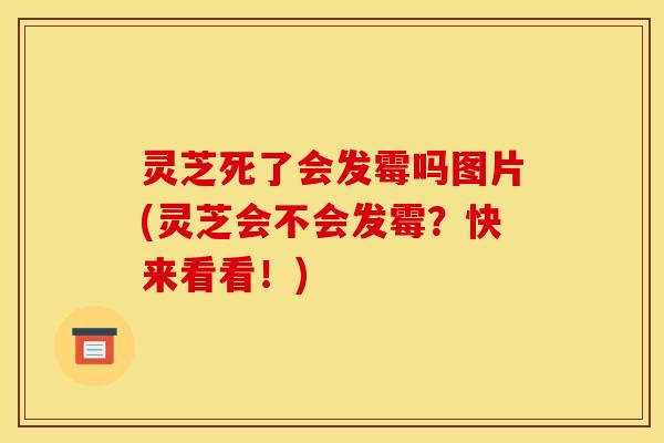 灵芝死了会发霉吗图片(灵芝会不会发霉？快来看看！)
