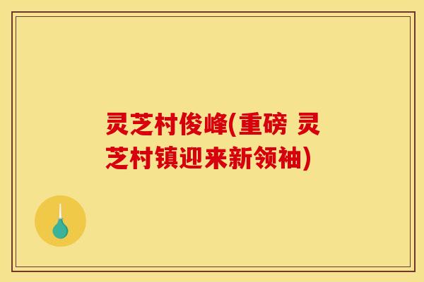 灵芝村俊峰(重磅 灵芝村镇迎来新领袖)