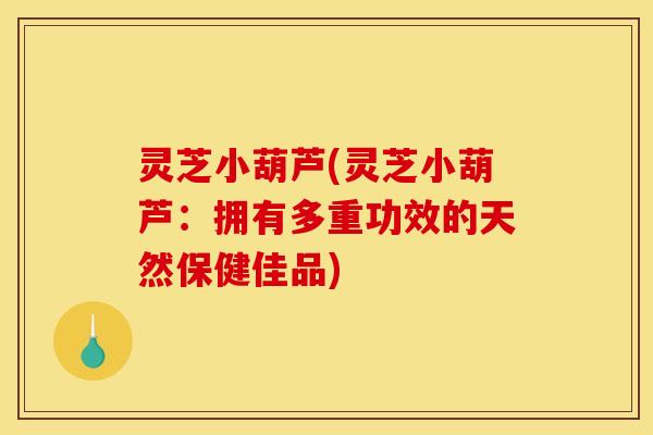 灵芝小葫芦(灵芝小葫芦：拥有多重功效的天然保健佳品)