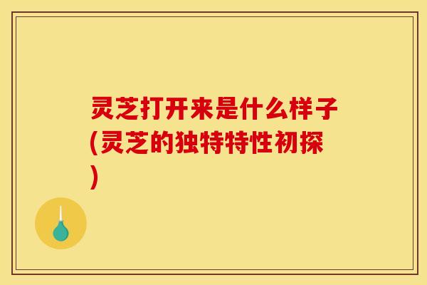 灵芝打开来是什么样子(灵芝的独特特性初探)