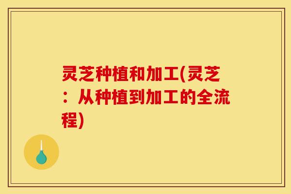 灵芝种植和加工(灵芝：从种植到加工的全流程)