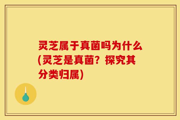 灵芝属于真菌吗为什么(灵芝是真菌？探究其分类归属)