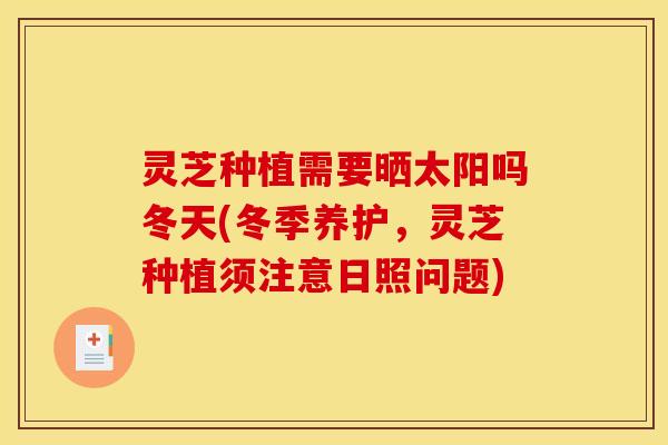 灵芝种植需要晒太阳吗冬天(冬季养护，灵芝种植须注意日照问题)