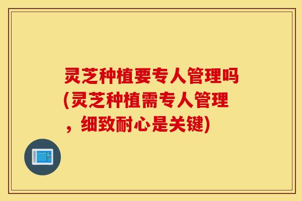 灵芝种植要专人管理吗(灵芝种植需专人管理，细致耐心是关键)