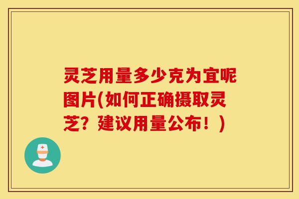 灵芝用量多少克为宜呢图片(如何正确摄取灵芝？建议用量公布！)