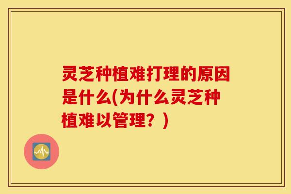 灵芝种植难打理的原因是什么(为什么灵芝种植难以管理？)