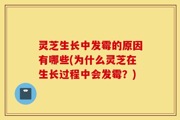 灵芝生长中发霉的原因有哪些(为什么灵芝在生长过程中会发霉？)