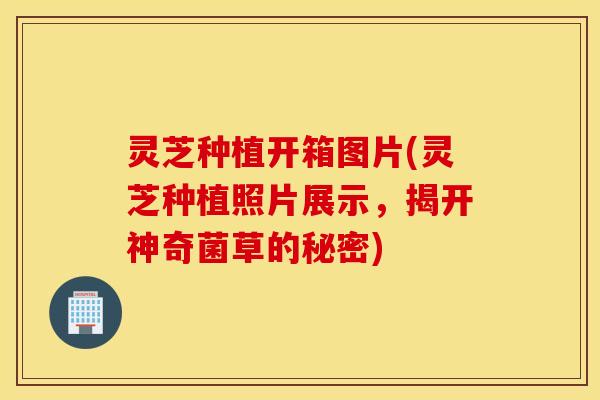 灵芝种植开箱图片(灵芝种植照片展示，揭开神奇菌草的秘密)