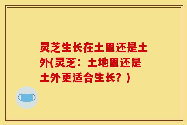 灵芝生长在土里还是土外(灵芝：土地里还是土外更适合生长？)