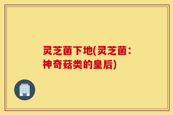 灵芝菌下地(灵芝菌：神奇菇类的皇后)