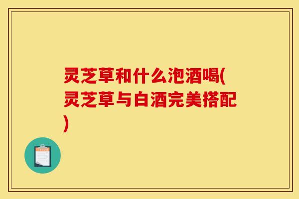 灵芝草和什么泡酒喝(灵芝草与白酒完美搭配)