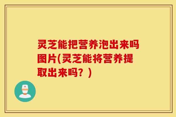 灵芝能把营养泡出来吗图片(灵芝能将营养提取出来吗？)
