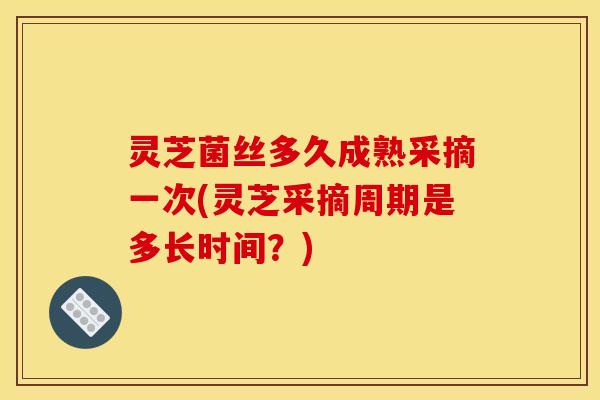 灵芝菌丝多久成熟采摘一次(灵芝采摘周期是多长时间？)