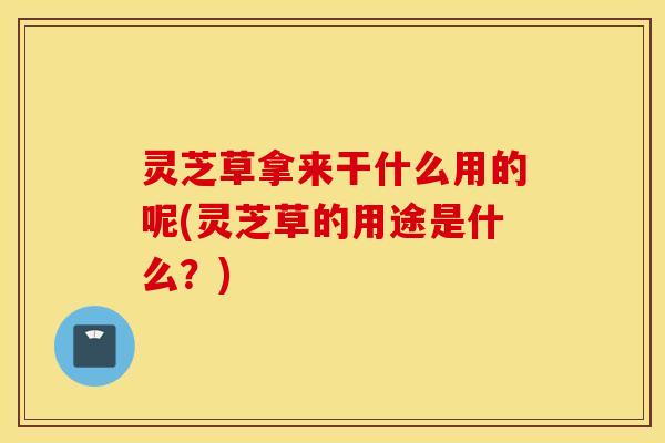 灵芝草拿来干什么用的呢(灵芝草的用途是什么？)