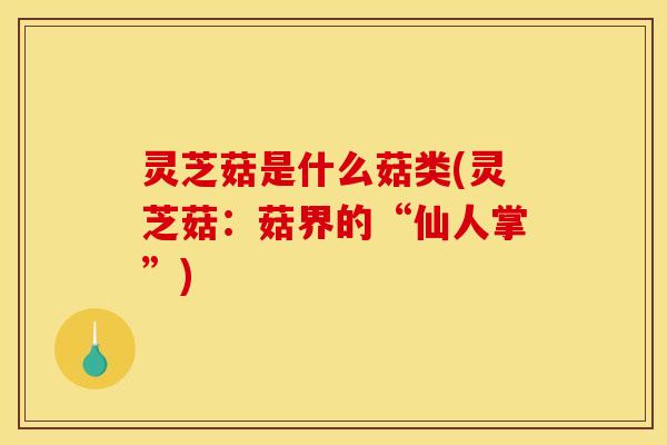 灵芝菇是什么菇类(灵芝菇：菇界的“仙人掌”)