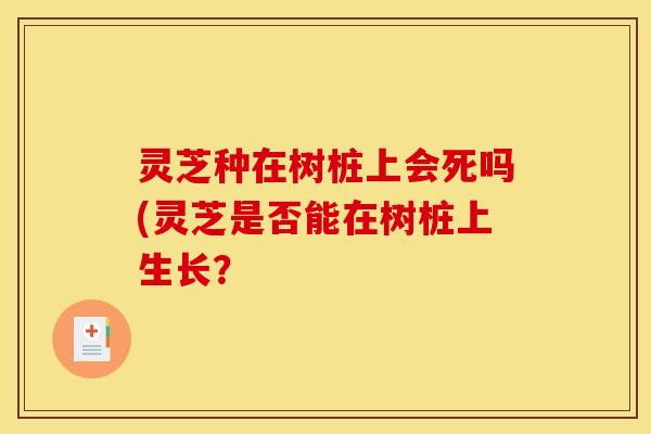 灵芝种在树桩上会死吗(灵芝是否能在树桩上生长？