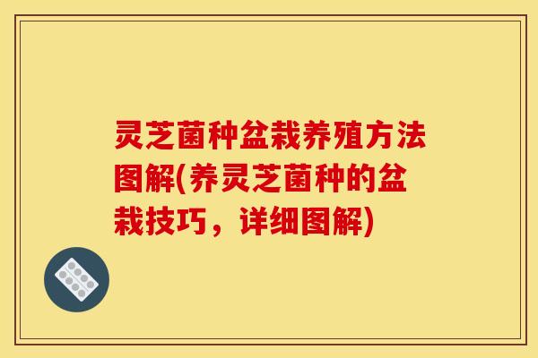 灵芝菌种盆栽养殖方法图解(养灵芝菌种的盆栽技巧，详细图解)