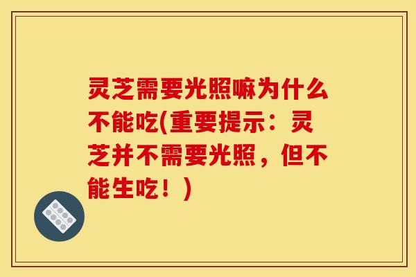灵芝需要光照嘛为什么不能吃(重要提示：灵芝并不需要光照，但不能生吃！)