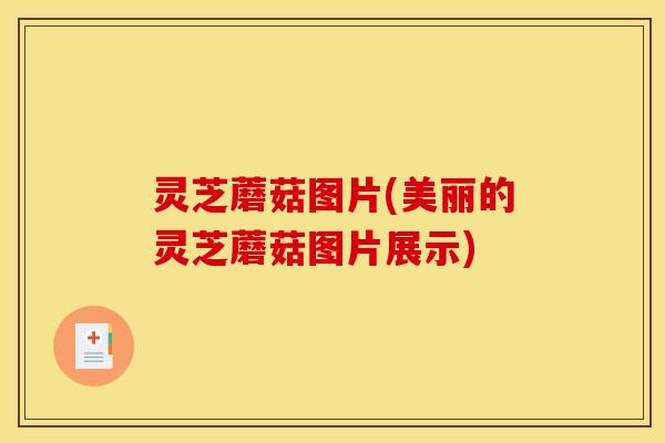 灵芝蘑菇图片(美丽的灵芝蘑菇图片展示)