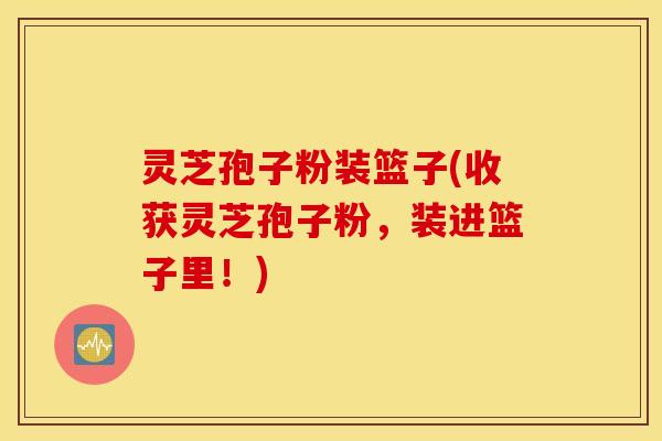 灵芝孢子粉装篮子(收获灵芝孢子粉，装进篮子里！)