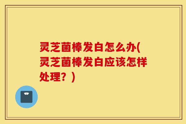 灵芝菌棒发白怎么办(灵芝菌棒发白应该怎样处理？)