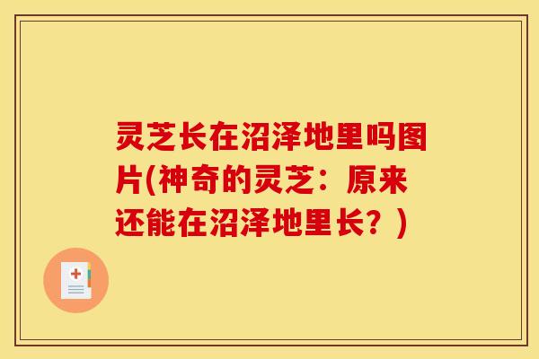 灵芝长在沼泽地里吗图片(神奇的灵芝：原来还能在沼泽地里长？)