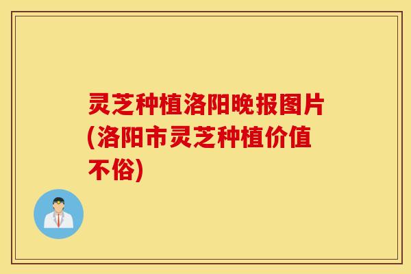 灵芝种植洛阳晚报图片(洛阳市灵芝种植价值不俗)