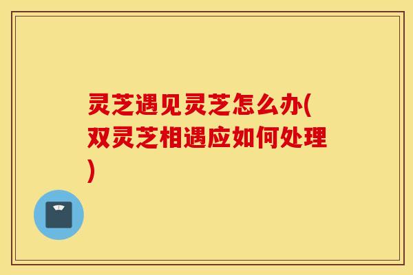 灵芝遇见灵芝怎么办(双灵芝相遇应如何处理)