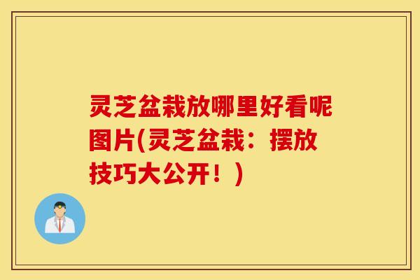 灵芝盆栽放哪里好看呢图片(灵芝盆栽：摆放技巧大公开！)